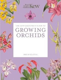 bokomslag Kew Gardener's Guide to Growing Orchids