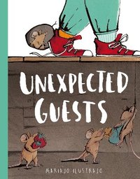 bokomslag Unexpected Guests