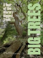 Fred Breglia - BIG TREES, Inbunden