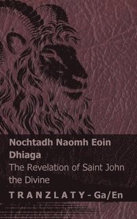 bokomslag Nochtadh Naomh Eoin Dhiaga / The Revelation of Saint John the Divine