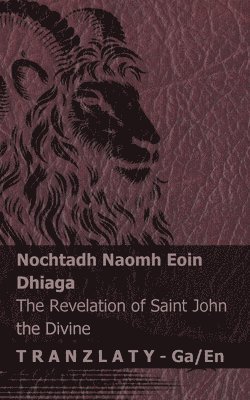 bokomslag Nochtadh Naomh Eoin Dhiaga / The Revelation of Saint John the Divine