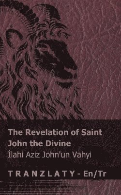 bokomslag The Revelation of Saint John the Divine / &#304;lahi Aziz John'un Vahyi