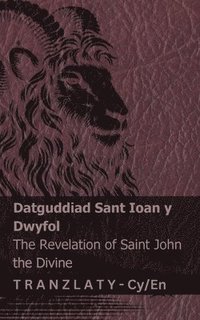 bokomslag Datguddiad Sant Ioan y Dwyfol / The Revelation of Saint John the Divine