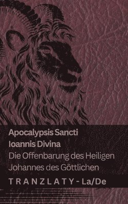 bokomslag Apocalypsis Sancti Ioannis Divina / Die Offenbarung des Heiligen Johannes des Göttlichen