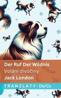 Jack London - Ruf der Wildnis / Volání divočiny, Häftad