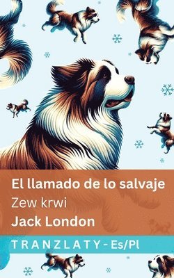 bokomslag El llamado de lo salvaje / Zew krwi: Tranzlaty Español Polsku