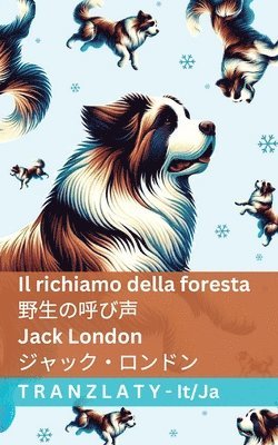 Jack London - richiamo della foresta / 野生の呼び声, Häftad