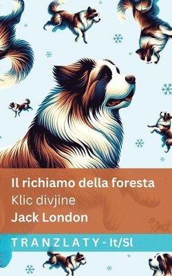 bokomslag richiamo della foresta / Klic divjine