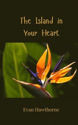 Evan Hawthorne - Island in Your Heart, Häftad