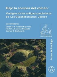 bokomslag Bajo la sombra del volcán