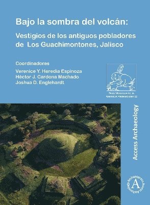 bokomslag Bajo la sombra del volcán