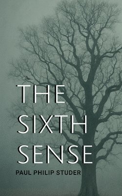 bokomslag Sixth Sense