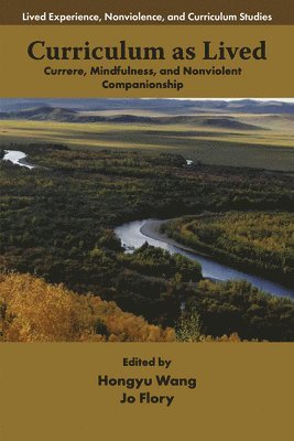 Hongyu Wang, Jo Flory, USA) Wang, Hongyu (Oklahoma State University, USA) Flory, Jo (Oklahoma State University - Curriculum as Lived, Häftad
