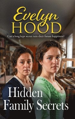 bokomslag Hidden Family Secrets