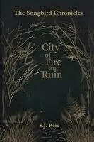 S J Reid - City of Fire and Ruin, Häftad. Tillgänglighet: Lägg i varukorg