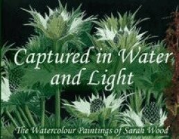 Sarah Wood - Captured in Water and Light, Häftad