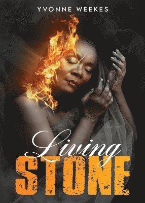 bokomslag Living Stone
