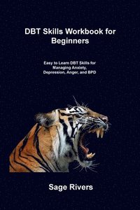 bokomslag DBT Skills Workbook for Beginners