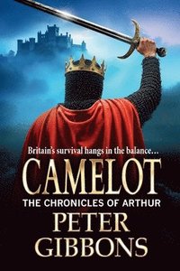 bokomslag Camelot