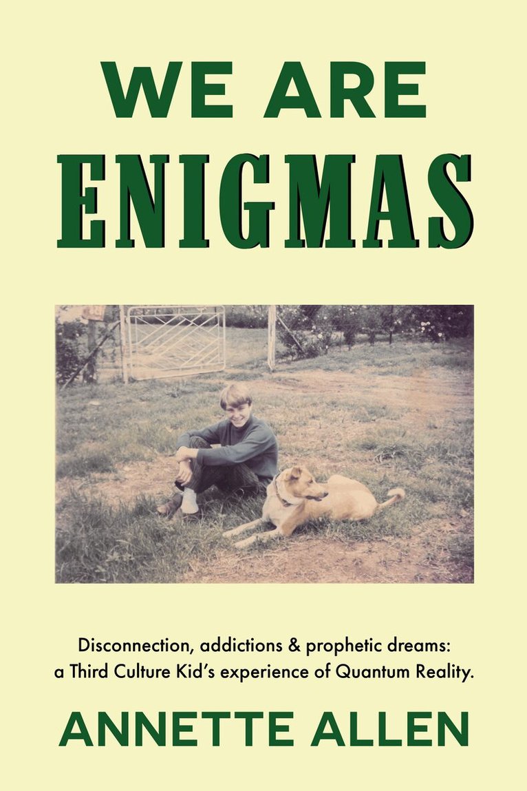 Annette Allen - We are Enigmas, Häftad