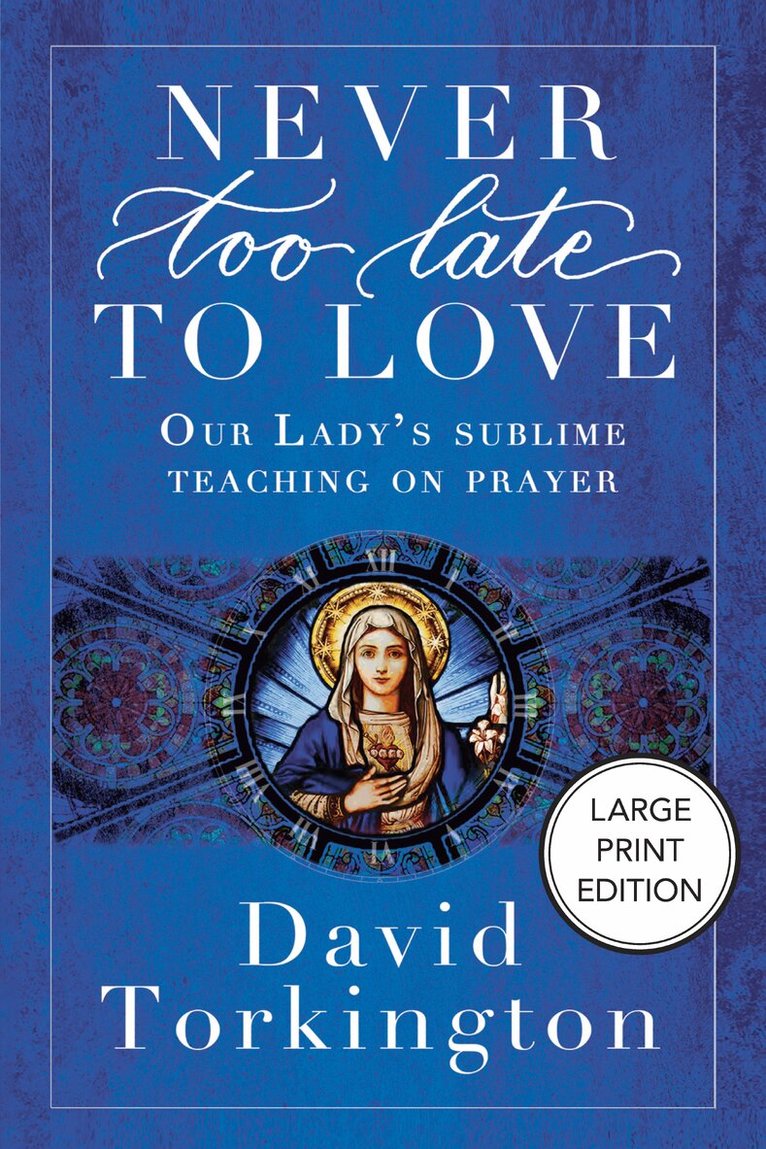 Never Too Late To Love (Large Print Edition)