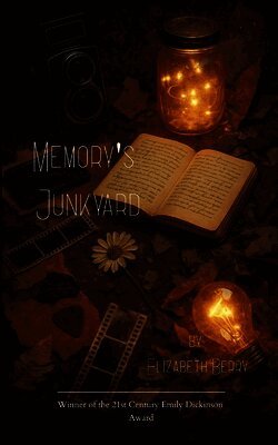 Elizabeth Berry - Memory's Junkyard The Light We Kept, Häftad