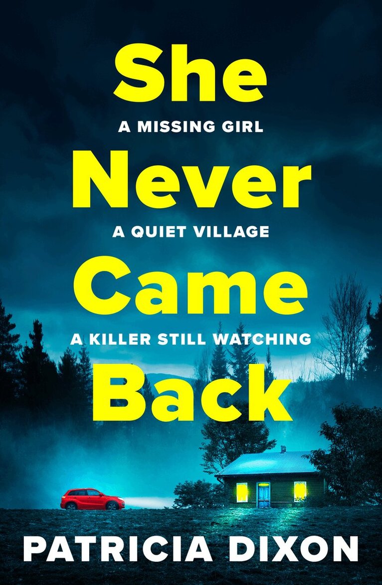 Patricia Dixon - She Never Came Back, Inbunden