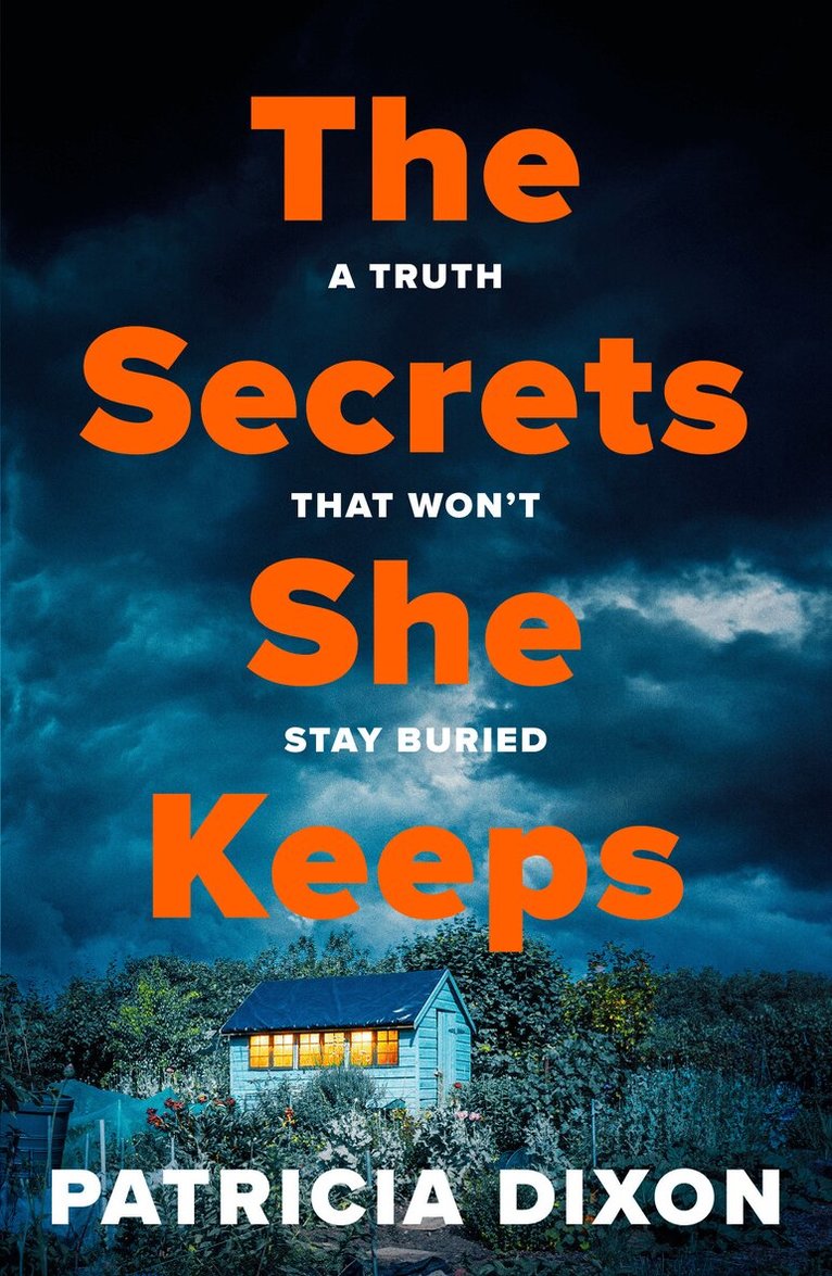 Patricia Dixon - Secrets She Keeps, Häftad