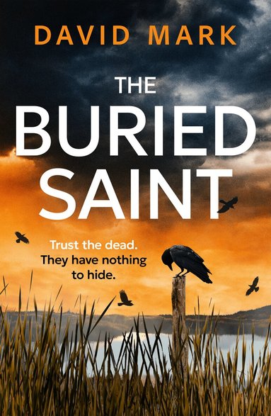 David Mark - Buried Saint, Häftad
