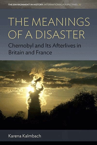 Karena Kalmbach - Meanings of a Disaster, Häftad