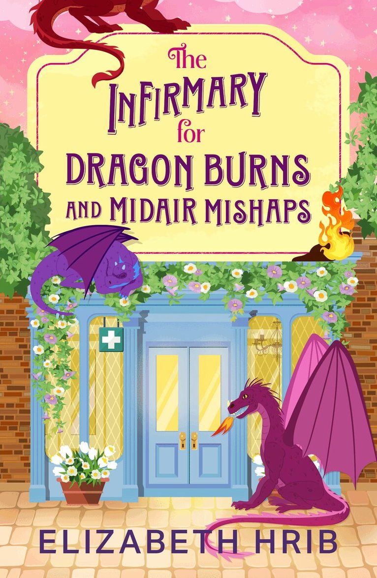 Elizabeth Hrib - Infirmary for Dragon Burns and Midair Mishaps, Häftad
