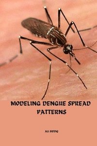 bokomslag Modeling Dengue spread patterns