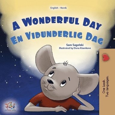 bokomslag A Wonderful Day (English Norwegian Bilingual Children's Book)