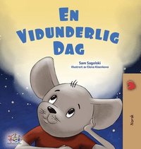bokomslag A Wonderful Day (Norwegian Book for Children)