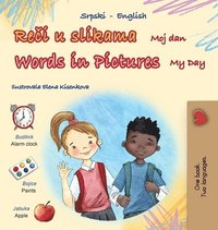 bokomslag Words in Pictures - My Day (Serbian English Bilingual Children's Book - Latin Alphabet)