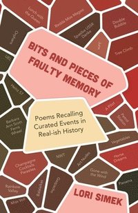 bokomslag Bits and Pieces Of Faulty Memory