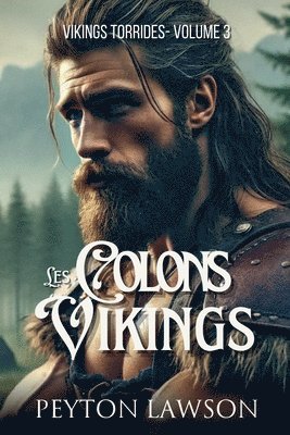 bokomslag Les colons Vikings