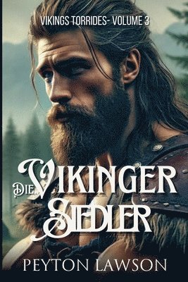 bokomslag Wikinger-Siedler