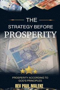 bokomslag The Strategy Before Prosperity
