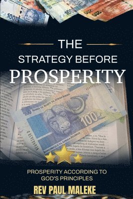 bokomslag The Strategy Before Prosperity