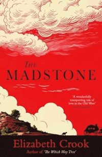bokomslag The Madstone