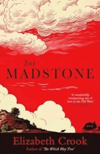 bokomslag The Madstone