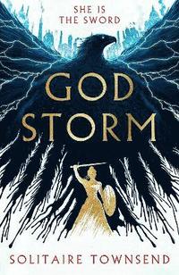bokomslag Godstorm