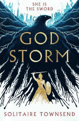 bokomslag Godstorm