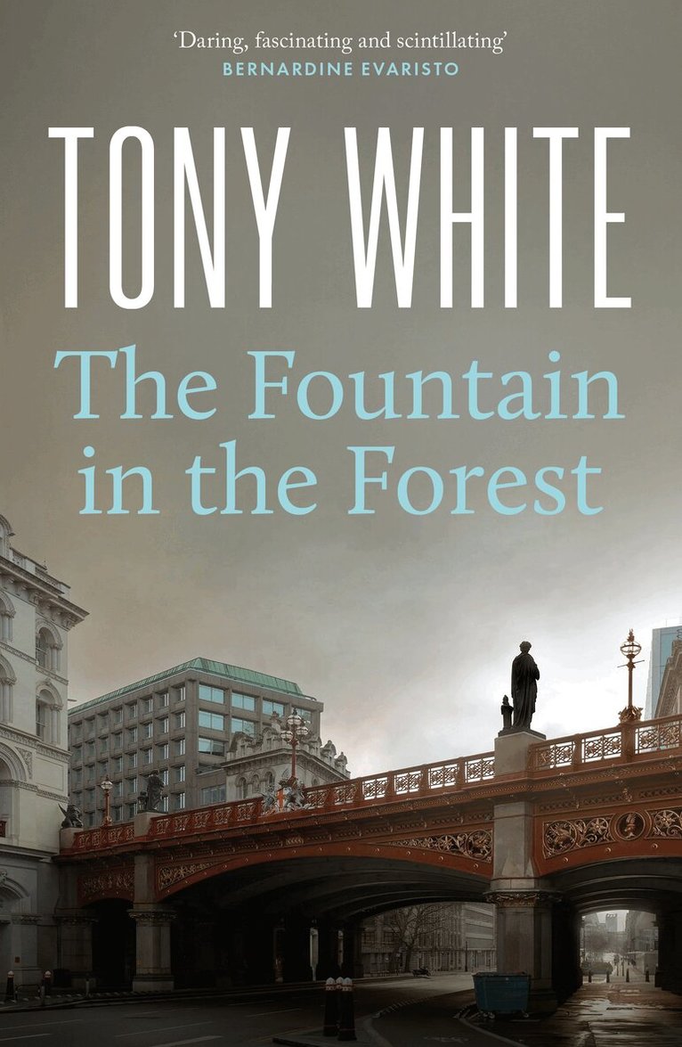 Tony White - The Fountain in the Forest, Häftad. Tillgänglighet: Kommande