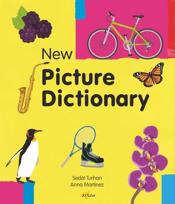 bokomslag New Picture Dictionary (English)