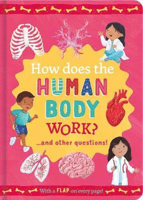 bokomslag How Does the Human Body Work?