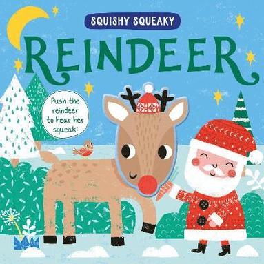 bokomslag Squishy Squeaky Reindeer