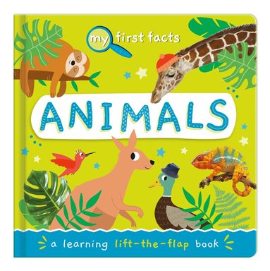 Animals, Kartonnage
