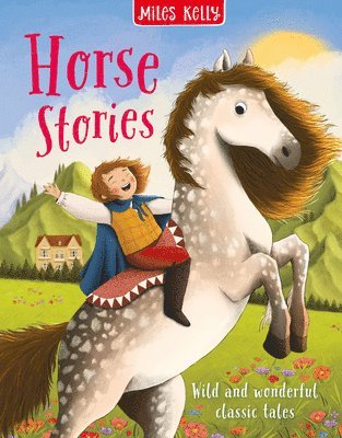 bokomslag Horse Stories